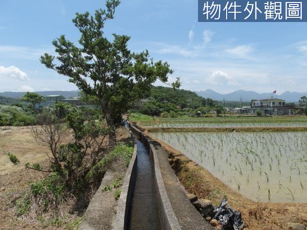 新北都市計畫土地-8