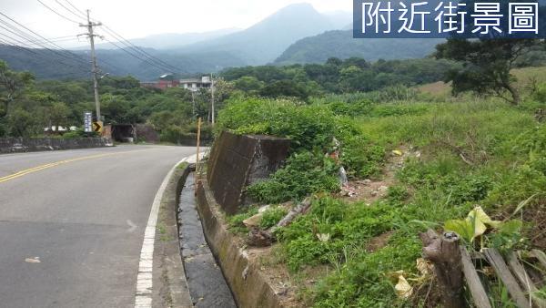 新北農地-4