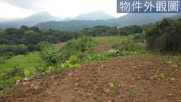 新北農地-7