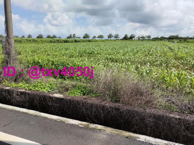 台南將軍農地-4