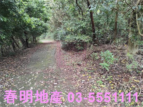 新竹農地-15