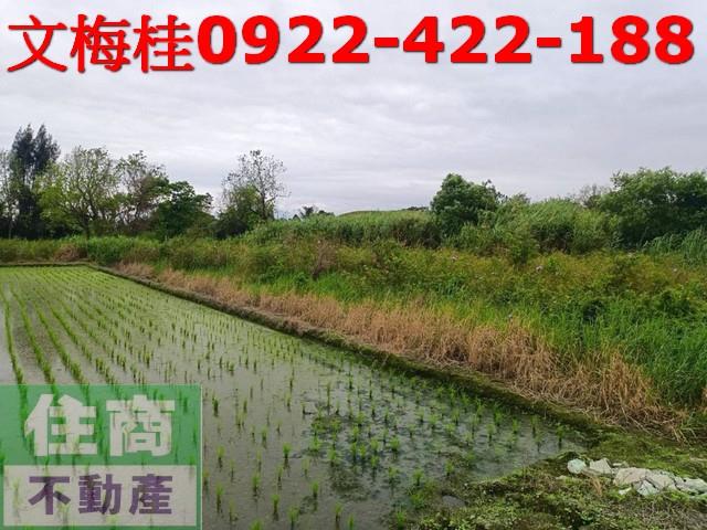 宜蘭宜蘭市農地-5