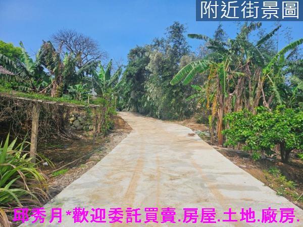 新北農地-1