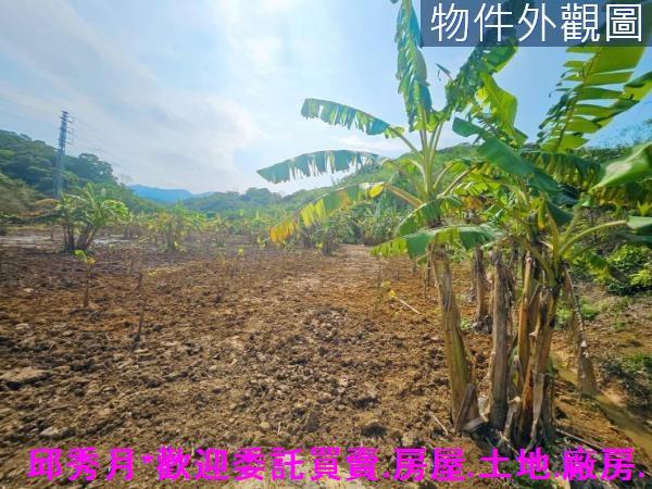 新北農地-2