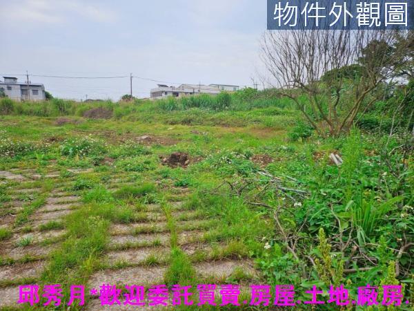 新北農地-5