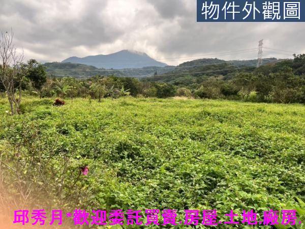 新北淡水二期一-1
