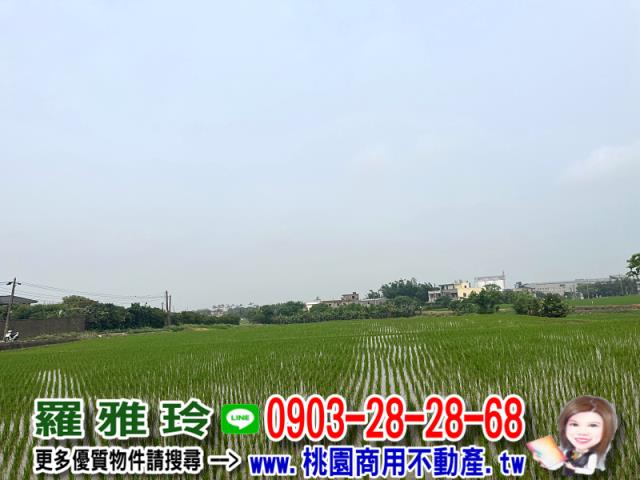 桃園新屋農地-1