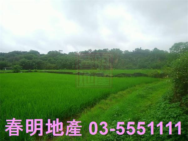 新竹峨眉農地-9