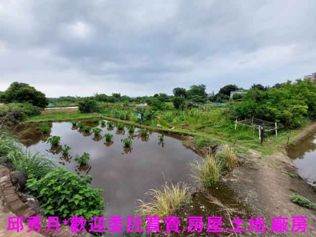 三芝農地-3
