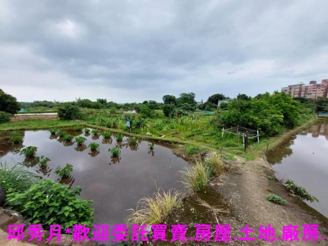 三芝農地-4
