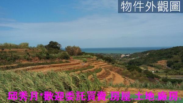 三芝農地-1
