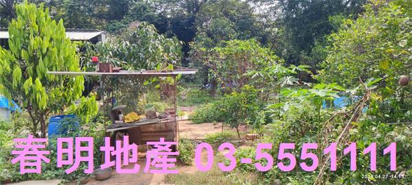 新竹新埔農地-9