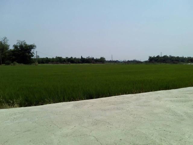 嘉義大林農地-6