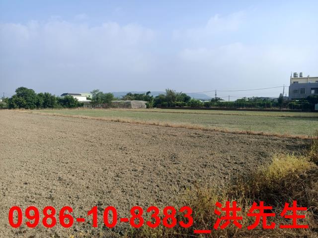 阿蓮農地-2
