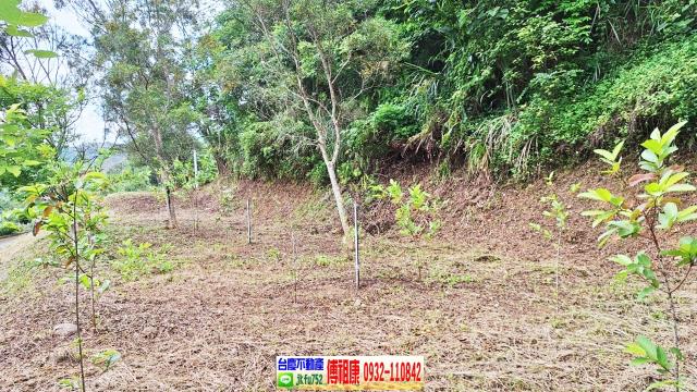 新竹竹東農地-12