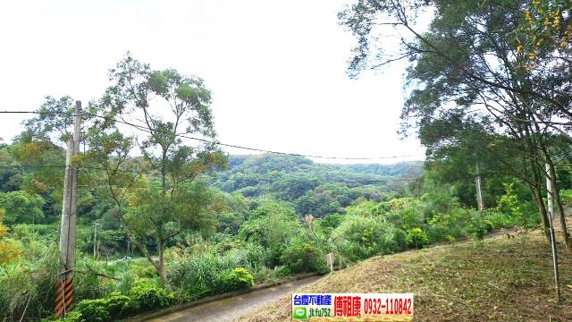 新竹竹東農地-15