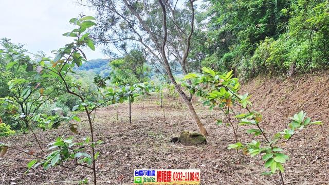 新竹竹東農地-1