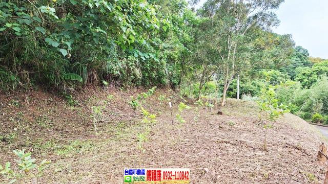 新竹竹東農地-8