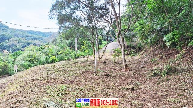 新竹竹東農地-9