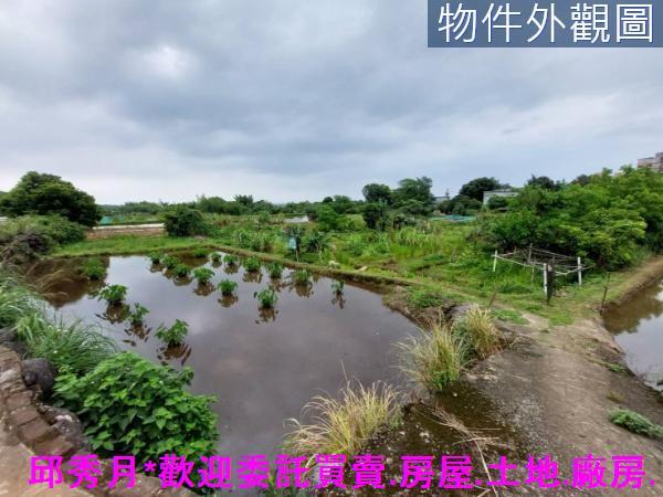 三芝農地-1