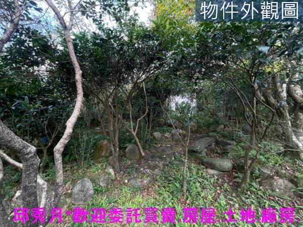 三芝農地-12