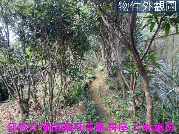 三芝農地-9