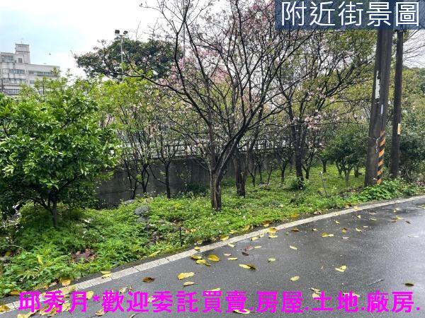 三芝建地-1