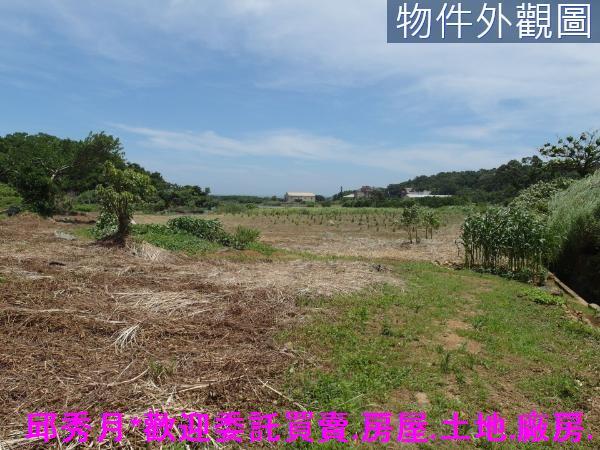 新北三芝農地-7