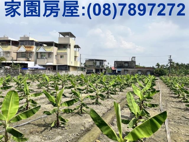屏東農地-2