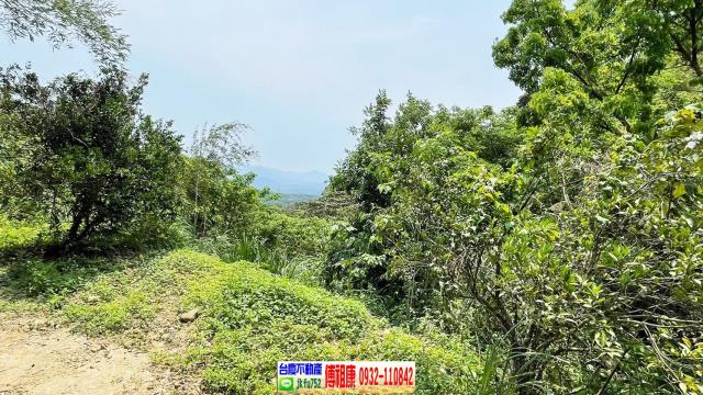 新竹農地-11