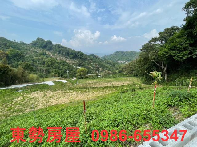 台中東勢農地-1