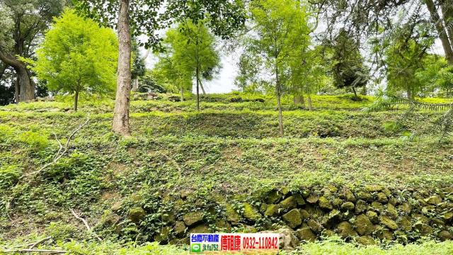 峨眉農地-13