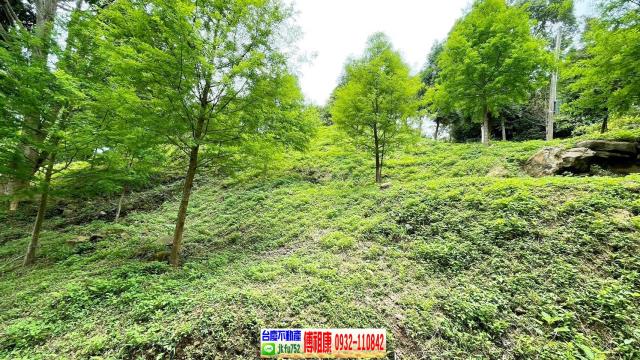 峨眉農地-15