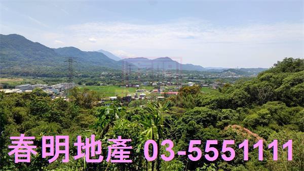 橫山農地-11