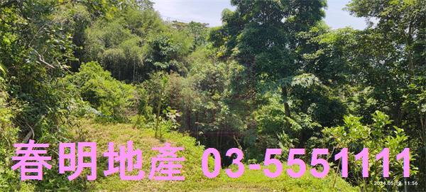 橫山農地-7