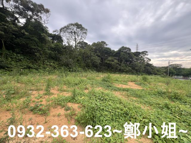 桃園平鎮農地-10