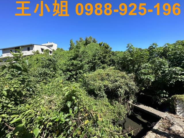 桃園桃園區農地-2