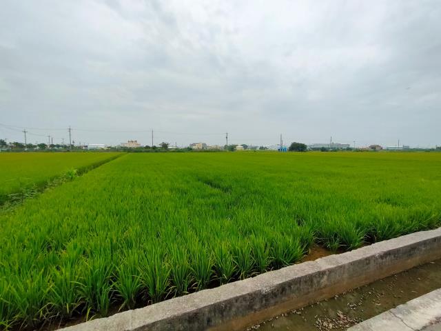 彰化農地-2