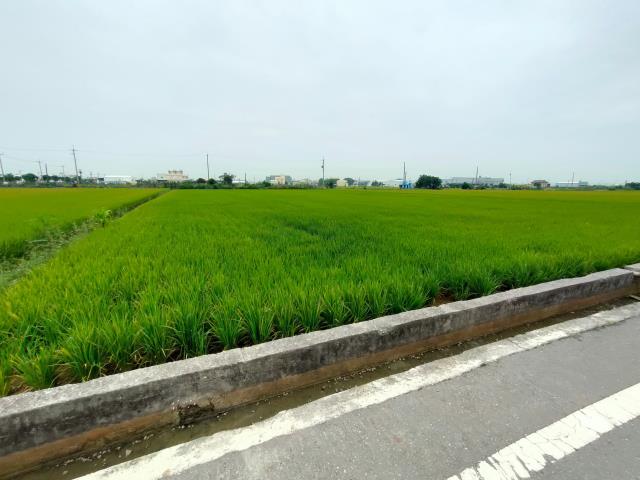 彰化農地-3