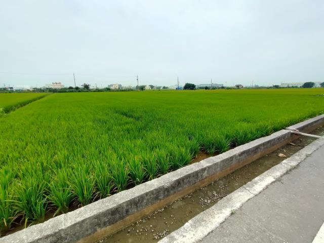 彰化農地-5