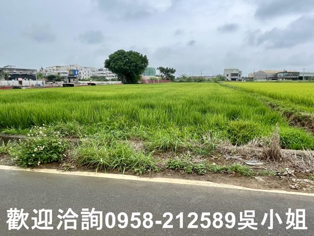 新竹農地-1
