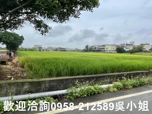 新竹農地-6