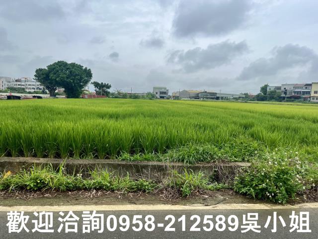 新竹農地-8