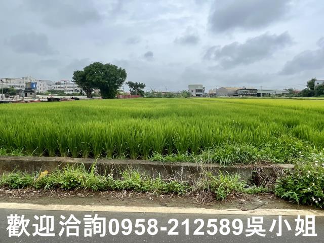 新竹農地-9
