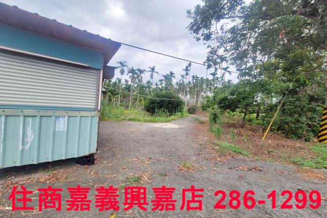 嘉義中埔農地-3