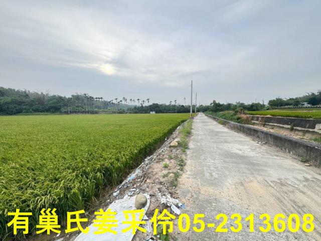 民雄農地-4