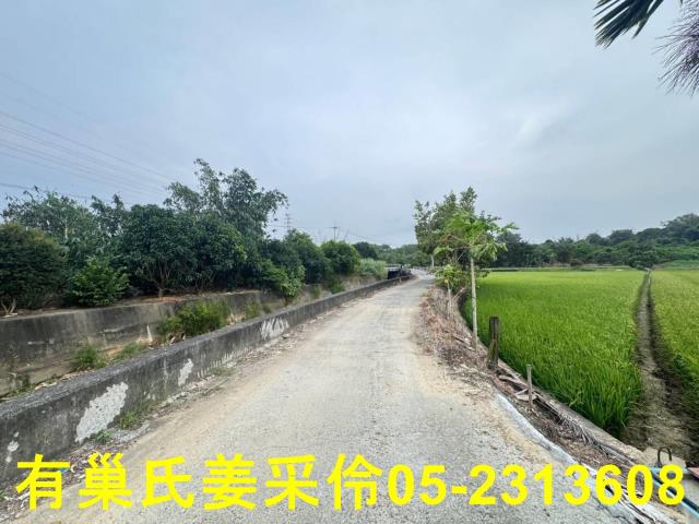 民雄農地-6