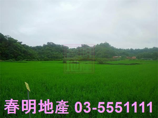 新竹農地-10