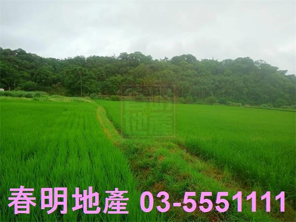 新竹農地-11