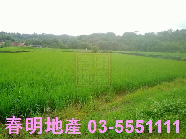 新竹農地-12